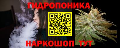 соль ск Кингисепп