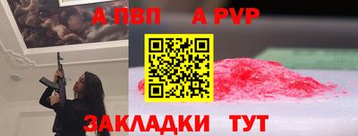 соль ск Кингисепп